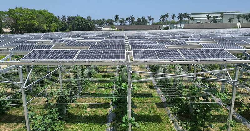 Explorando o tamanho ideal de um parque solar: a perspectiva mais recente em 2024
